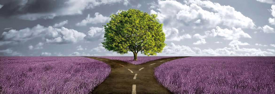 Scelta della piattaforma ecommerce