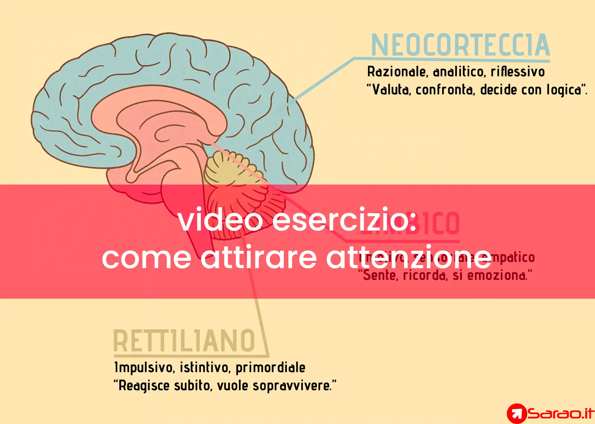 video esercizio come attirare attenzione